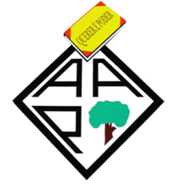 Emblema do Associação Académica Pinhalnovense